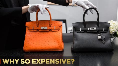 why are birkin handbags so expensive|birkin bag least expensive.